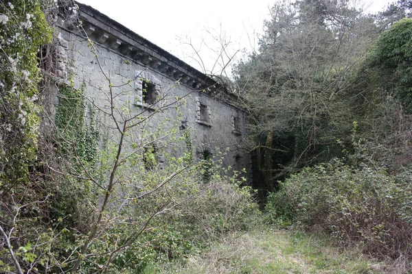 Fort Bastione, una fortaleza militar del siglo XIX, abandonada al descuido de la naturaleza. construcción de piedra angustiante por dentro y por fuera. naturaleza salvaje cubre todo el castillo — Foto de Stock