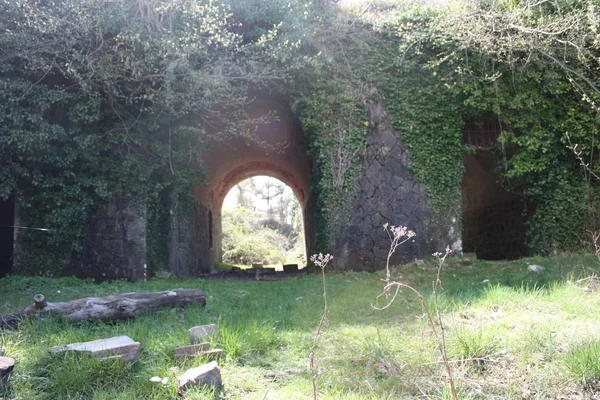 Korkunç erişim portalı, Fosdinovo, doğa ve yabani bitki örtüsü tarafından alınan bir kale Fort Kalesi girmek için kemerli — Stok fotoğraf