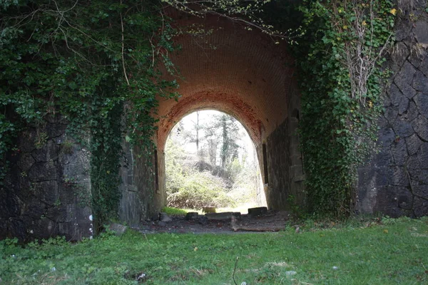可怕的入口，拱形进入福斯迪诺沃堡垒，一个堡垒由自然和野生植被 — 图库照片