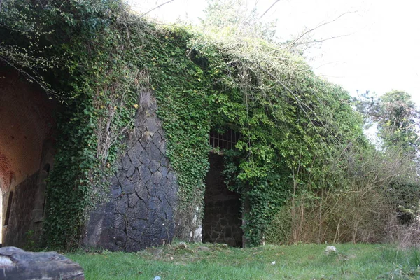 Portail d'accès effrayant, arqué pour entrer dans le Fort Bastion de Fosdinovo, une forteresse prise par la nature et la végétation sauvage — Photo