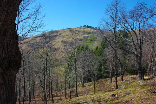 Panorama primaveral de Careggine, suelo seco y árboles desnudos. la tierra está seca y el arbusto desplazado también en Toscana debido a la sequía —  Fotos de Stock