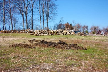 yeşil alanlar. kayak pistleri careggine için yaz aylarında görüldü. Toskana kar, kuru ve kurak arazi olmadan asfalt ve yeşil yol