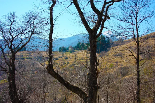 Spring panorama of Careggine, dry soil and bare trees. the land is dry and the bush displaced also in Tuscany due to the drought — Stock Photo, Image