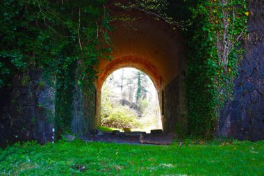 korkunç erişim portalı, Fosdinovo, doğa ve yabani bitki örtüsü tarafından alınan bir kale Fort Kalesi girmek için kemerli