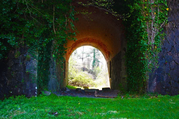 Eng toegangsportaal, gebogen om het Fort Bastion van Fosdinovo te betreden, een Fort genomen door de natuur en wilde vegetatie — Stockfoto