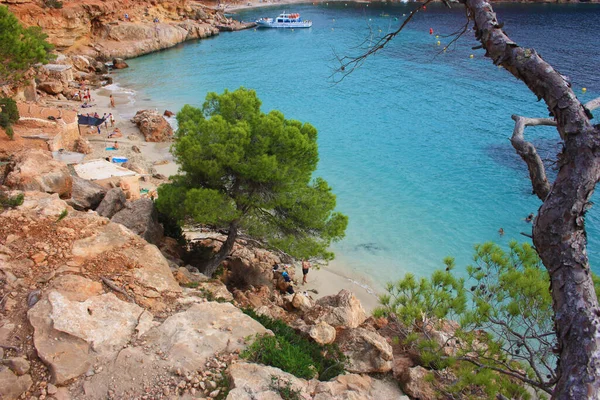 Letniej Miejscowości Turystycznej Cala Saladeta Między Morzem Dziką Przyrodą Drzewami — Zdjęcie stockowe