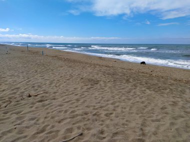 Versilia 'nın kumlu plajı gün boyunca kıyı şeridindeki karantina sırasında boştur.