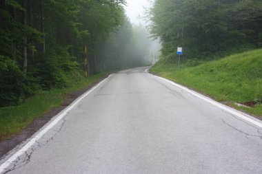Dağlarda asfalt yol Ağaçlar ve yoğun sis arasında