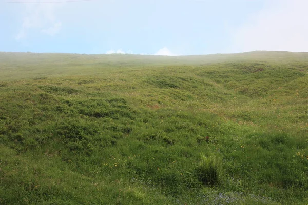 Apuan Alpleri Nin Tepelerindeki Panorama Kesimin Yeşili Ile Dağdaki Gri — Stok fotoğraf