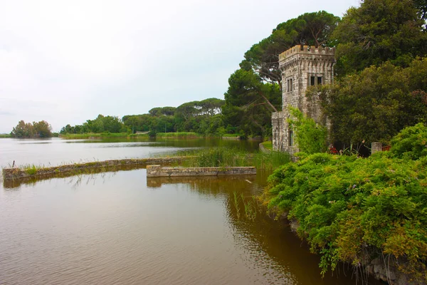 马尾藻湖上的奥兰多别墅的炮塔 有水和植被 — 图库照片