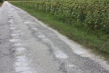 Toskana 'da büyük bir ayçiçeği tarlasının yanında asfalt toprak bir yolun kırsal yolu