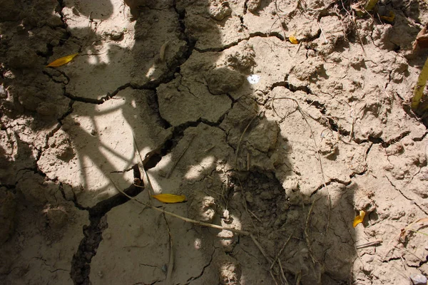 arid ground cracked and split by the heat and dried in italy