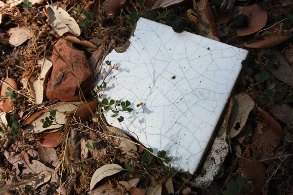 秋の野原の茶色い葉の間に白い四角形のタイルが切り取られ地面に割れて — ストック写真