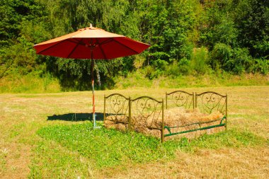 Toskana 'daki ormanda kırmızı bir şemsiyenin altında saman çöpüyle dolu demir yatak tahtaları.