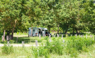 Yazın yeşil ormanda kervanla yolculuk ve macera.