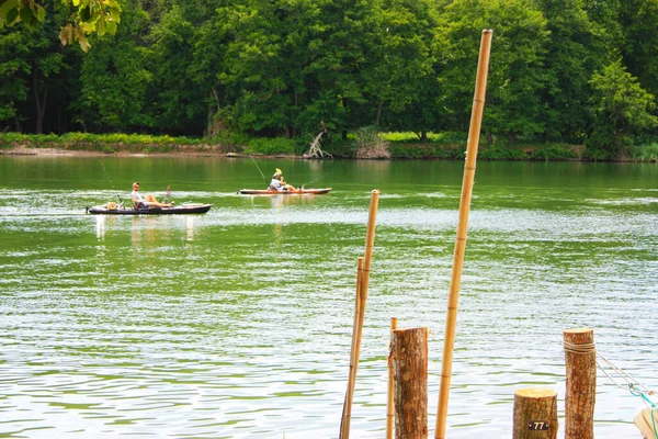 아름다운 우림에 강에서 나무로 카누가 경쟁을 벌이고 — 스톡 사진