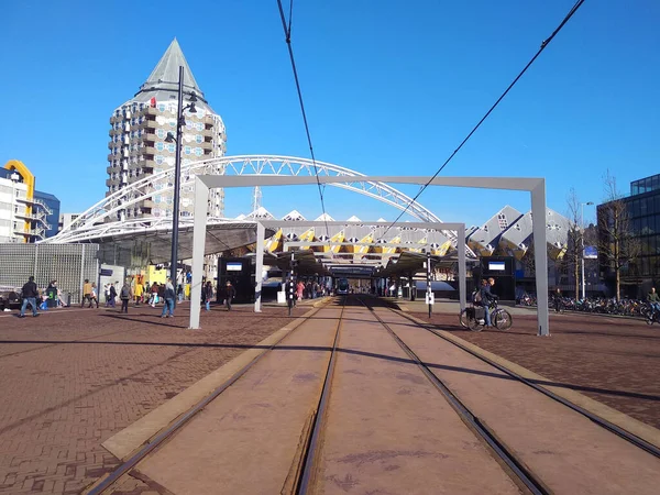 Modern Hollanda metropolü Rotterdam 'ın ünlü ve resimsi sarı kübik evleri