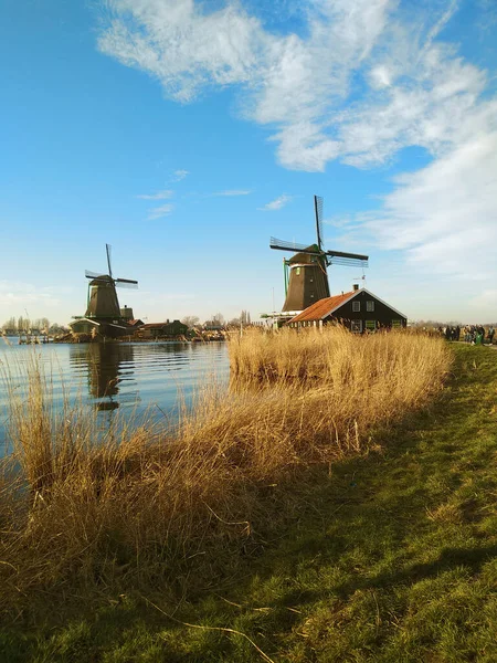 Hermoso Panorama Zaanse Scans Los Países Bajos Molinos Viento Estanques —  Fotos de Stock