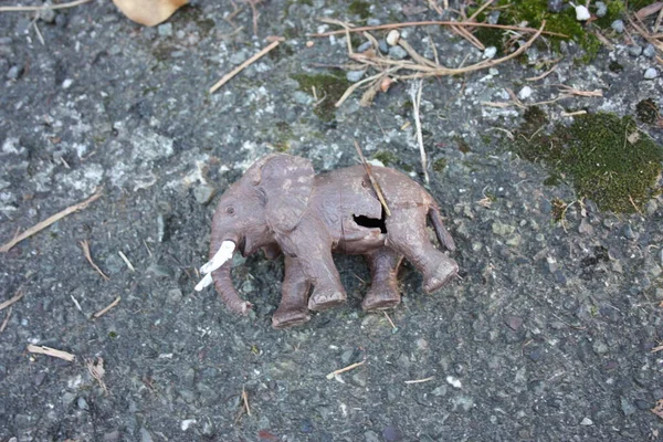 通りに捨てられた悲しい壊れた茶色の象のおもちゃ — ストック写真
