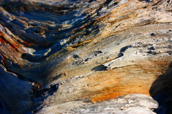 Maderas Arbóreas Viejas Pulidas Del Agua Salobre Del Mar Que — Foto de Stock