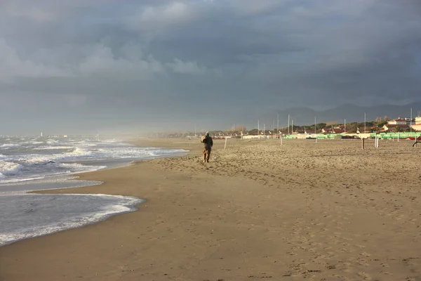 Talyan Kışının Güneşli Bir Gününde Versilia Nın Kumlu Kumlu Sahilinde — Stok fotoğraf