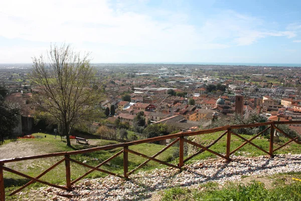 Červené Střechy Obydlených Domů Kostel Zvonice Katedrály Pietrasanta Vidět Zeleně — Stock fotografie