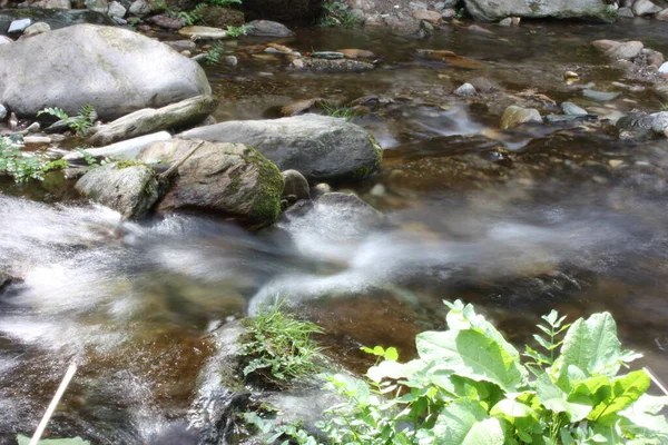 Camino Agua Con Efecto Seda Pequeño Río Que Fluye Cascada —  Fotos de Stock