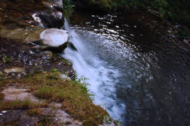 İpek efektli su yolu. Ormanlık bir düzlüğün ortasındaki şelaleden akan küçük bir nehir.