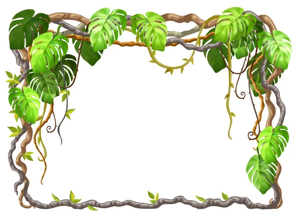 Liana branches and tropical leaves. Cartoon frame plants of jungle with  space for text. Isolated vector illustration on white background. - Stock  Image - Everypixel