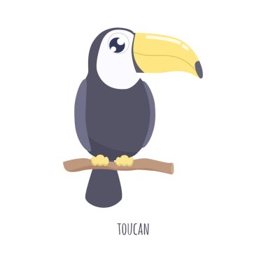 Şirin toucan vektör çizim. düz tasarım.