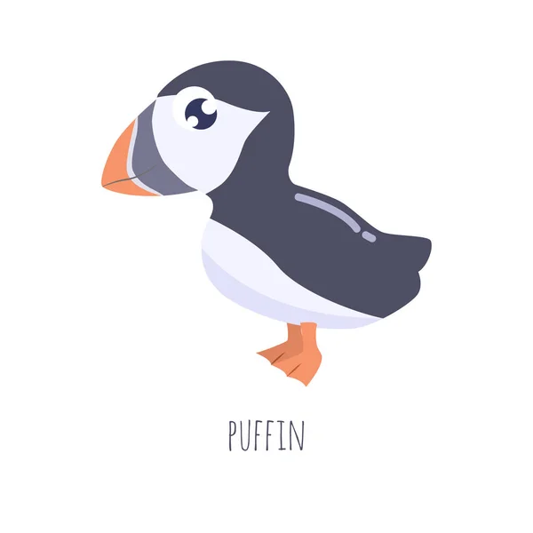 Roztomilý Kreslený Puffin Vektorové Ilustrace — Stockový vektor