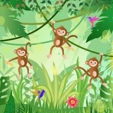 Jungle Illustration. Orman ağaçları ve bitkiler. Maymunlar ve hummin