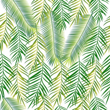 Palmiye yaprakları ile kesintisiz arka plan. Orman deseni