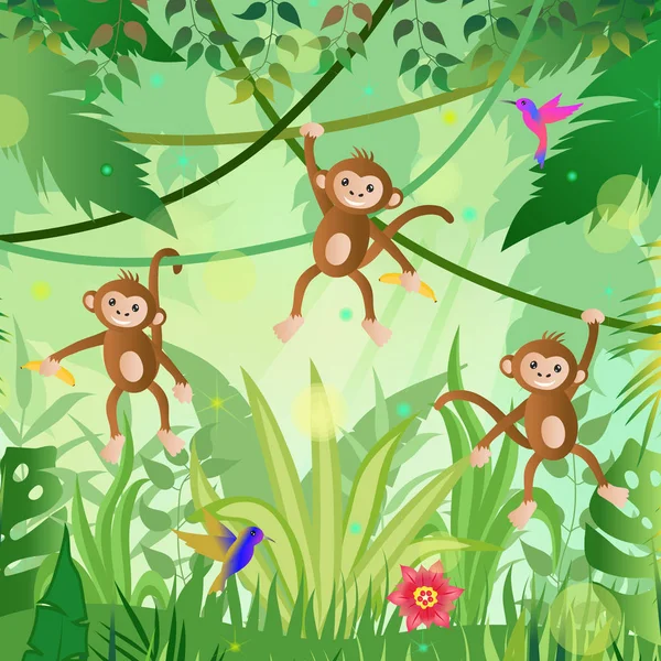 Ilustração da selva. Selva árvores e plantas. Macacos e hummin —  Vetores de Stock