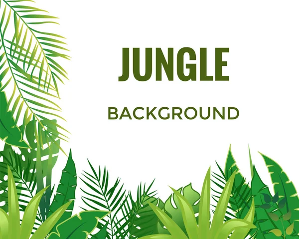 Pozadí džungle. Stromy a rostliny džungle. — Stockový vektor