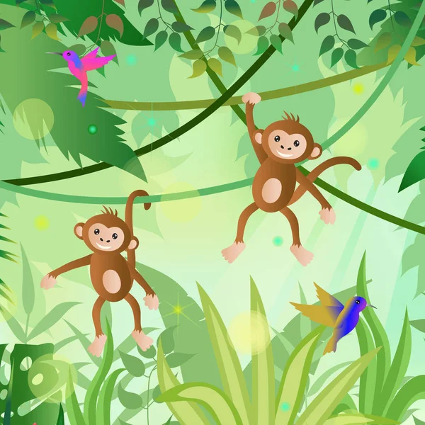 Jungle illustration. Jungle trees and plants. Monkeys and hummin — Stock Vector