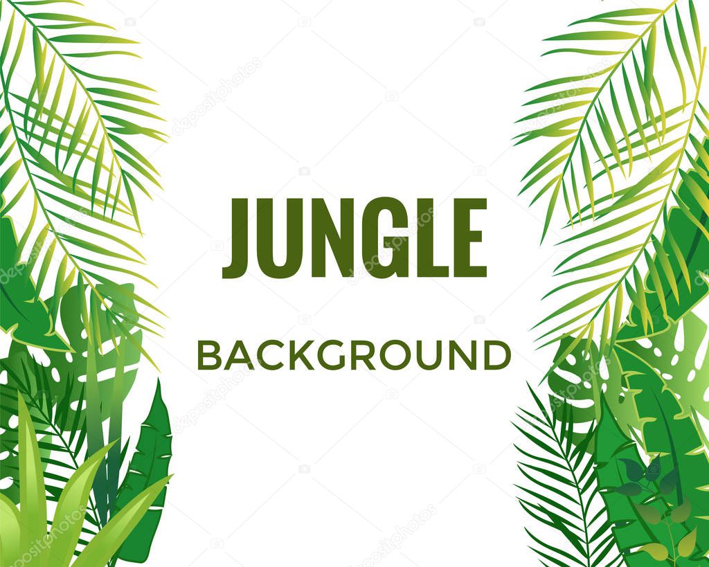 Jungle background. Jungle trees and plants. 