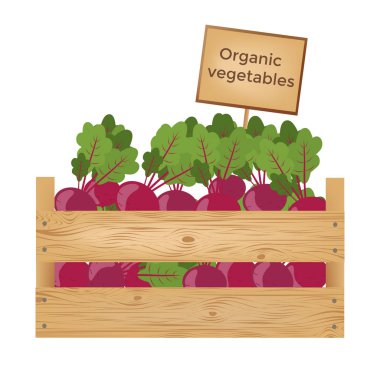 Beetroots ahşap kutu. Organik sebze. Vektör illustrati
