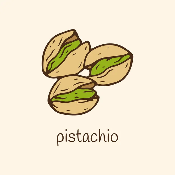 Pistache vectorillustratie. Handje getekende pistache — Stockvector
