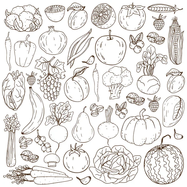 Ensemble de fruits, légumes, noix et fruits frais et sains à dessiner à la main — Image vectorielle