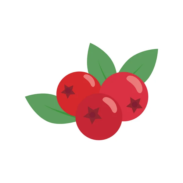 Cranberry geïsoleerd op een witte achtergrond. Vectorillustratie. FLA — Stockvector