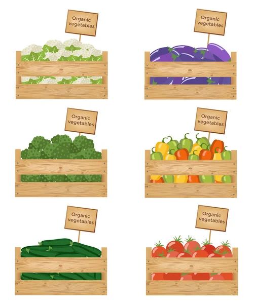 Wooden boxes of vegetables. Organic vegetables. Vector illustrat — Stock Vector