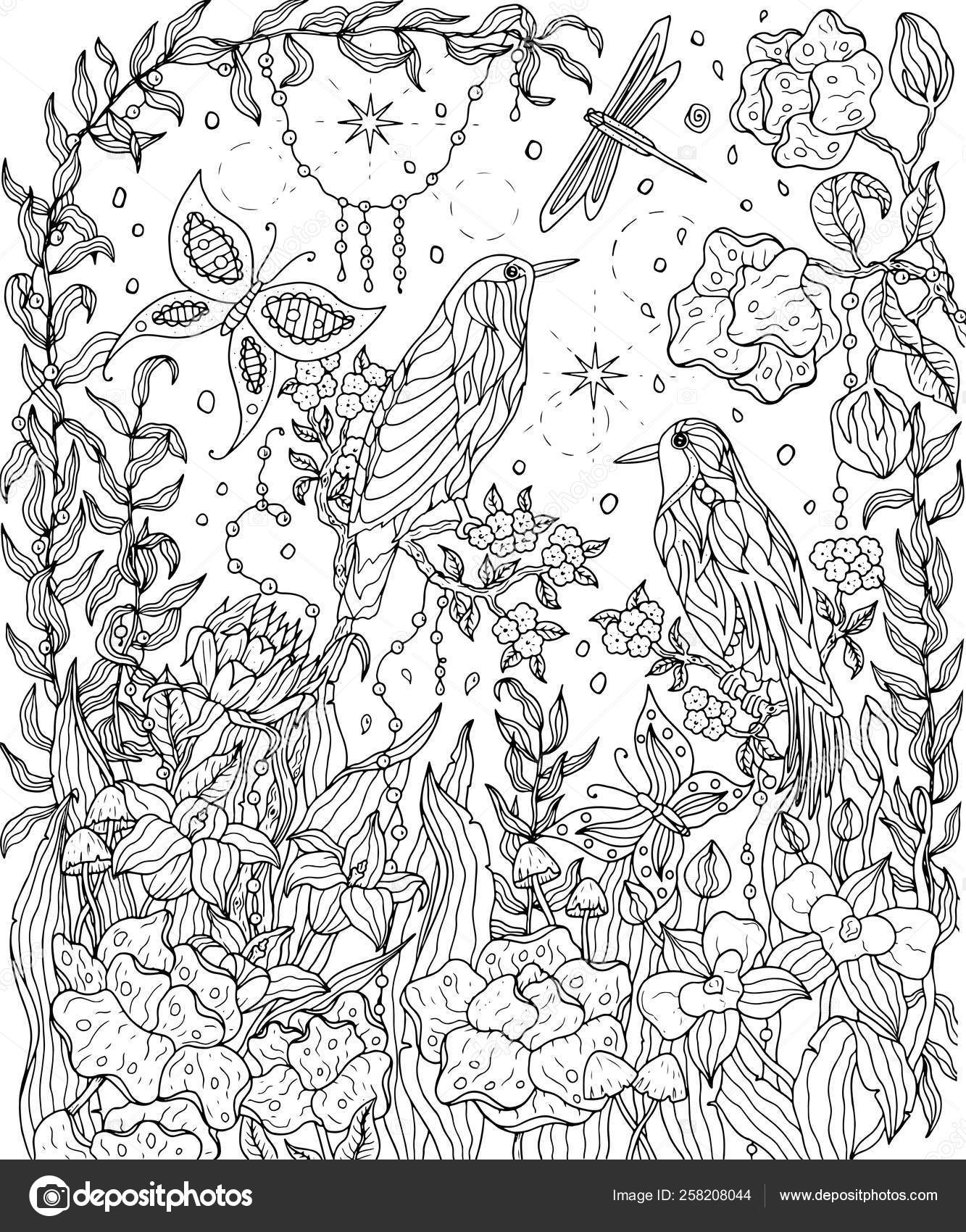 Birds and flowers coloring page. Birds of paradise vector illust ...