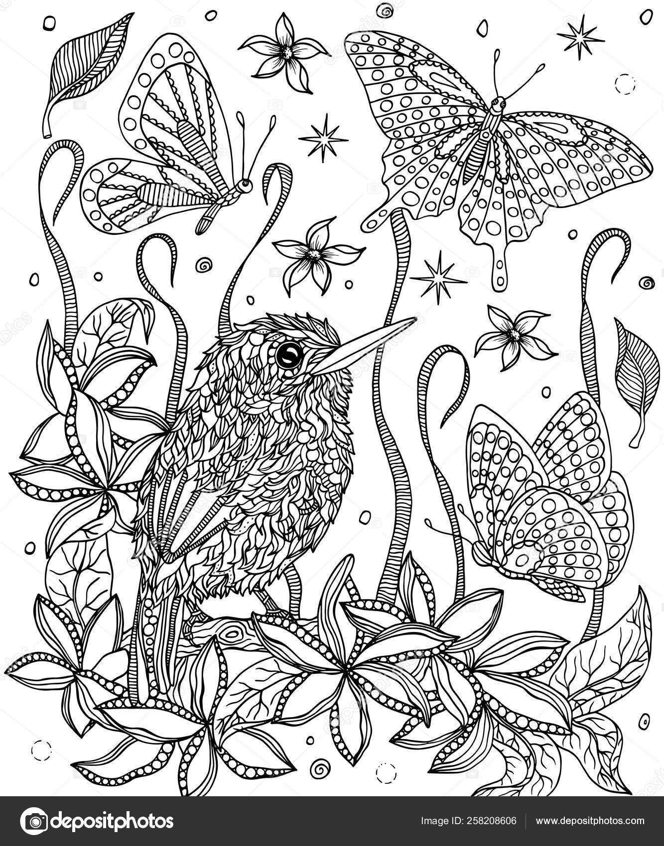 Bird and flowers coloring page. Cuban tody Stock Vector Image by ...