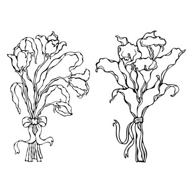 Bir yay vektör illüstrasyon ile Lilyum buket. Boyama için sayfa