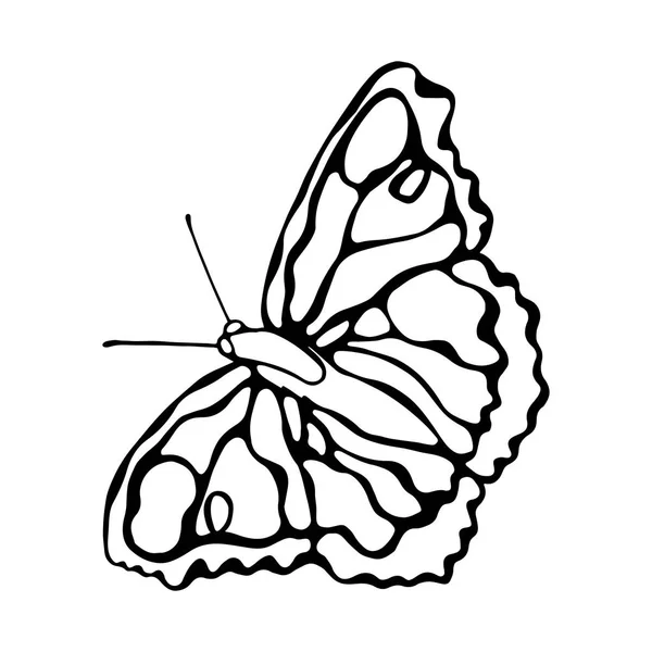 Beyaz arka planda izole edilmiş kelebekler. Kelebek tasarımı. — Stok Vektör
