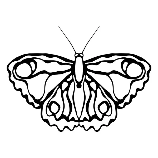 Οι πεταλούδες απομονώθηκαν σε λευκό φόντο. Σχεδίαση πεταλούδας. — Διανυσματικό Αρχείο
