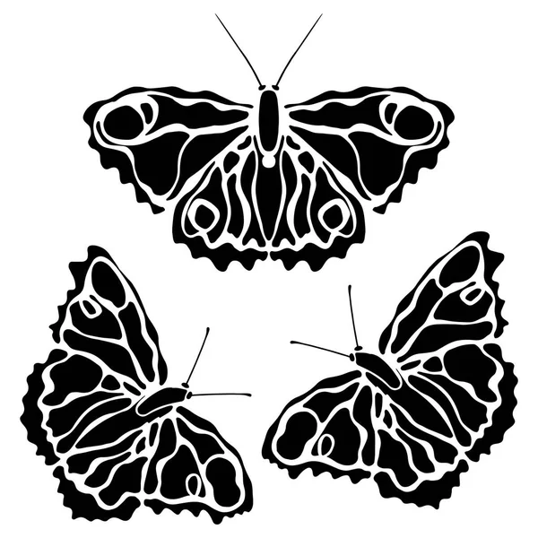 Mariposas aisladas sobre fondo blanco. Diseño de mariposa. Objetos para colorear . — Vector de stock