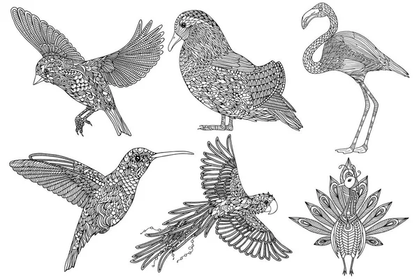 Collection d'oiseaux dessinés à la main . — Image vectorielle