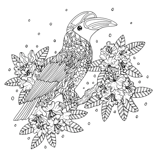 Hornbill vogel kleurplaat — Stockvector